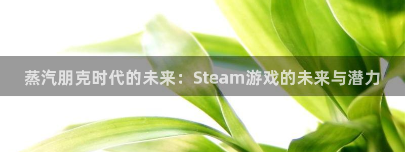 奇亿娱乐官方平台：蒸汽朋克时代的未来：Steam游戏的未来与