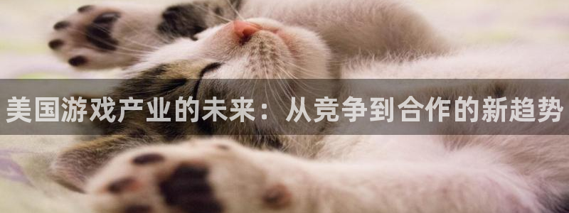 手机版奇亿娱乐客户端下载：美国游戏产业的未来：从竞争到合作的