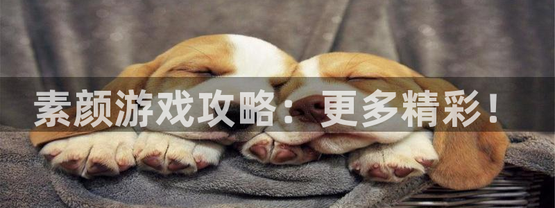 奇亿娱乐网页登录入口官网：素颜游戏攻略：更多精彩！