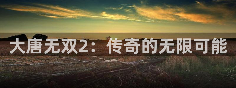 奇亿娱乐网页登录入口下载：大唐无双2：传奇的无限可能